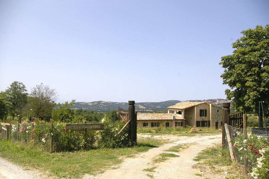 B&B Casale Di Poggioferro Scansano Dış mekan fotoğraf